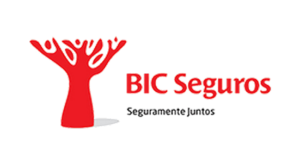 BIC_v1